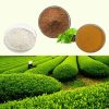 there are three main ingredients extracted from green tea,