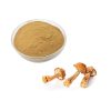 Organic Agaricus Blazei Murrill Extract