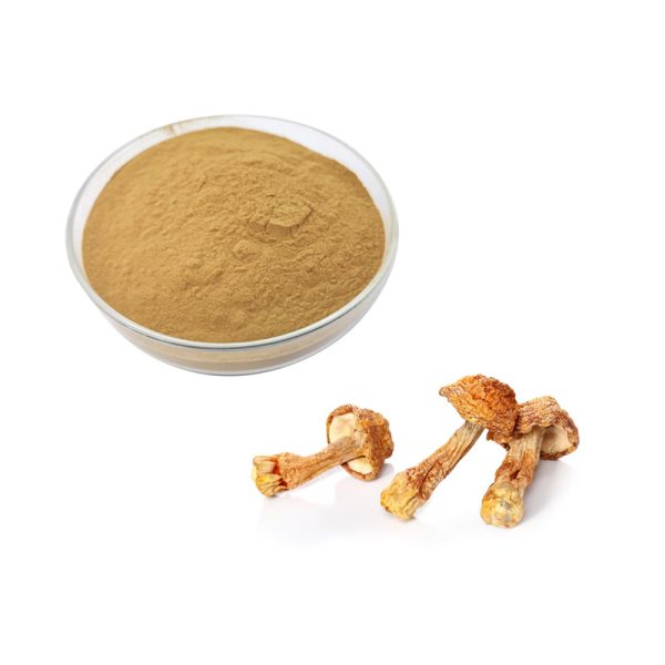 Organic Agaricus Blazei Murrill Extract