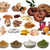 all sorts of mushroom supply by yohopharm