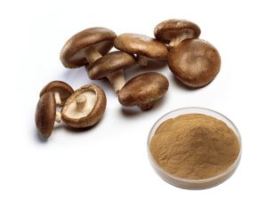 Shiitake Mushroom Extract