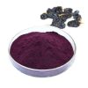 blackcurrant-extract plant colorant pure organic antioxidant