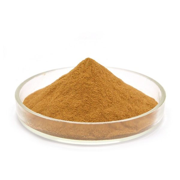 Agaricus Bisporus Mushroom Extract
