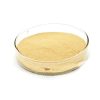 Auricularia Auricula Mushroom Extract