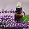 Clary Sage Essential Oil 2
