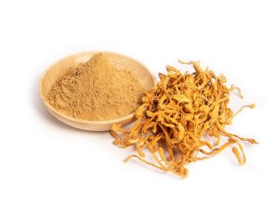 Cordyceps Sinensis 2