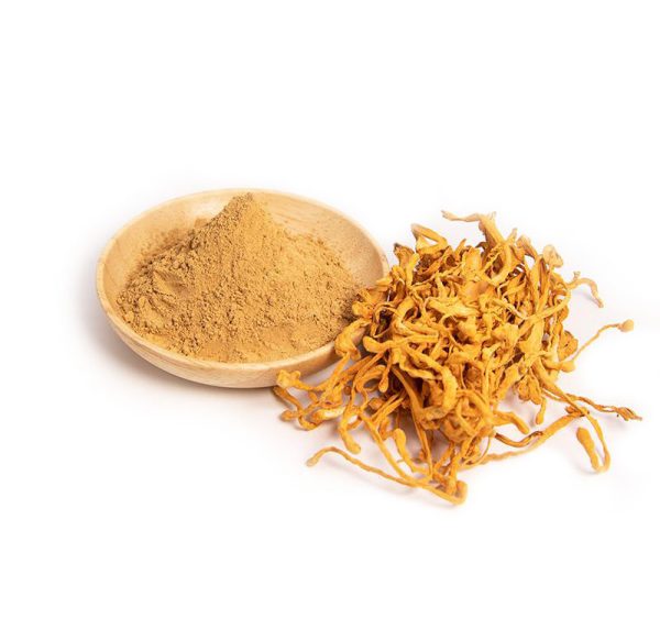 Cordyceps Sinensis 2