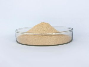 Edible mushroom hydrolase