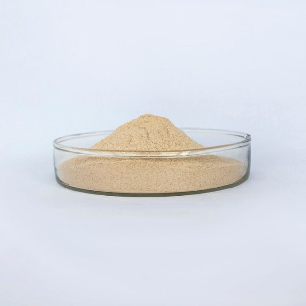 Edible mushroom hydrolase