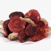 Russula-alutacea-mushroom-extract