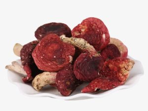 Russula-alutacea-mushroom-extract