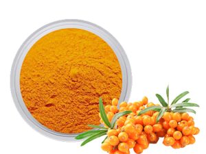 Sea Buckthorn Extract