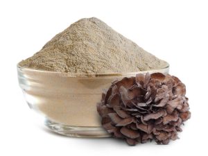 Turkey-Tail-Extract-Powder
