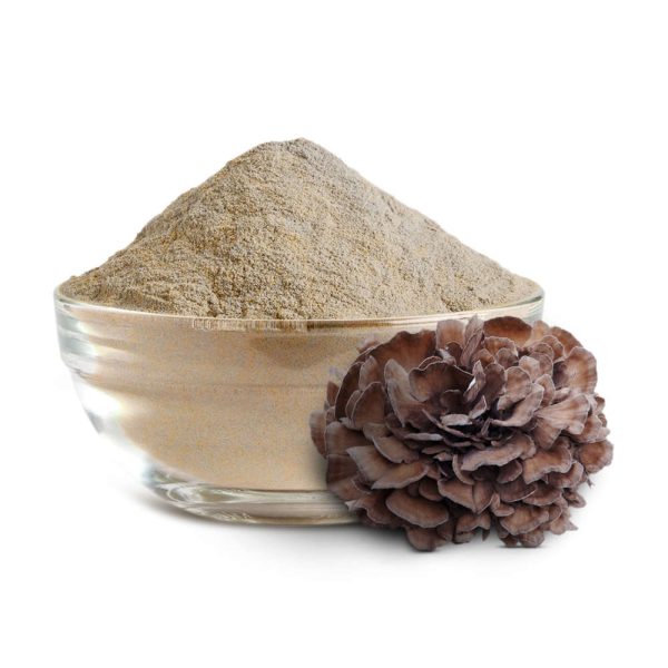 Turkey-Tail-Extract-Powder