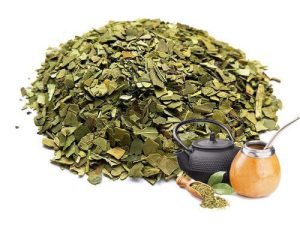 Yerba mate leaves extract