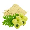 Indian Goseberry Extract 