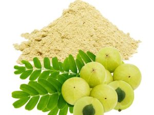 Indian Goseberry Extract 