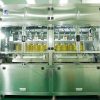 lemon grass factory