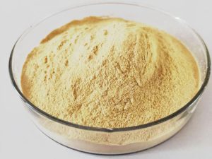 Hypsizygus Marmoreus Mushroom Extract