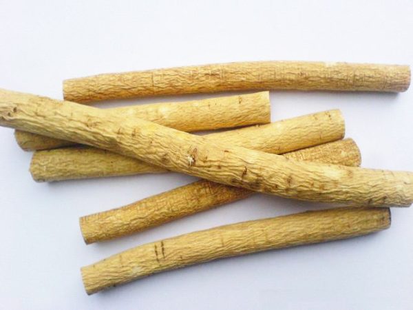 Astragalus root