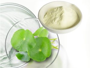 Centella Asiatica Extract : Gotu Kola Extract 2