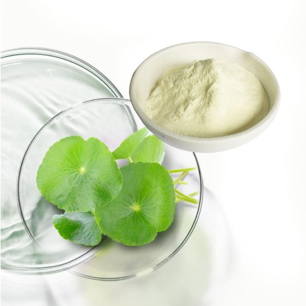 Centella Asiatica Extract : Gotu Kola Extract 2