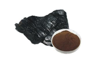 Himalayan Shilajit Resin 1