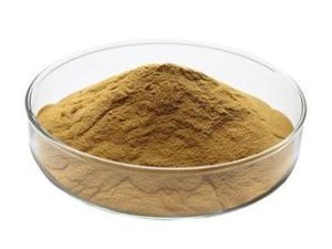 Astragalus extract