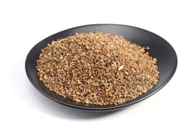 Cnidium Extract