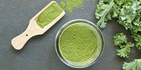 food extract for nutrition supplement used in food additives