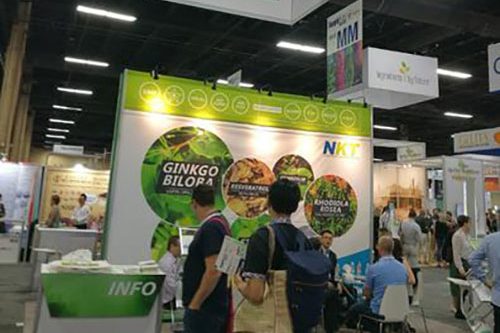 Exhibition 6